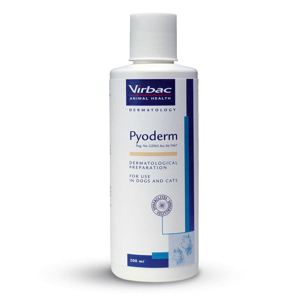 Virbac Pyoderm Shampoo