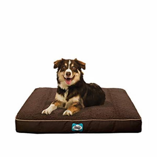 Sealy Cushy Comfy Dog Bed Brown