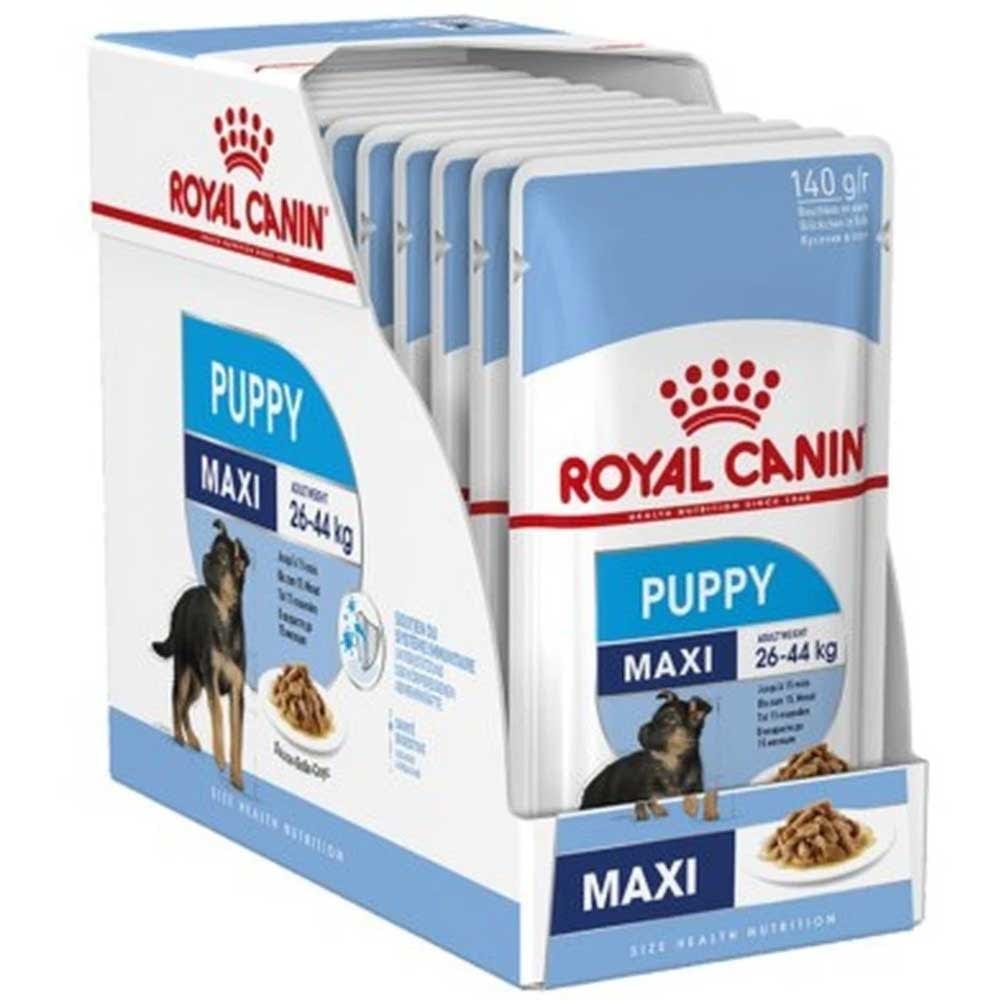 royal canin maxi senior