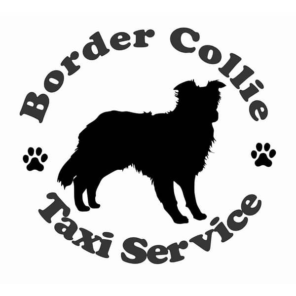 Billabone Border Collie