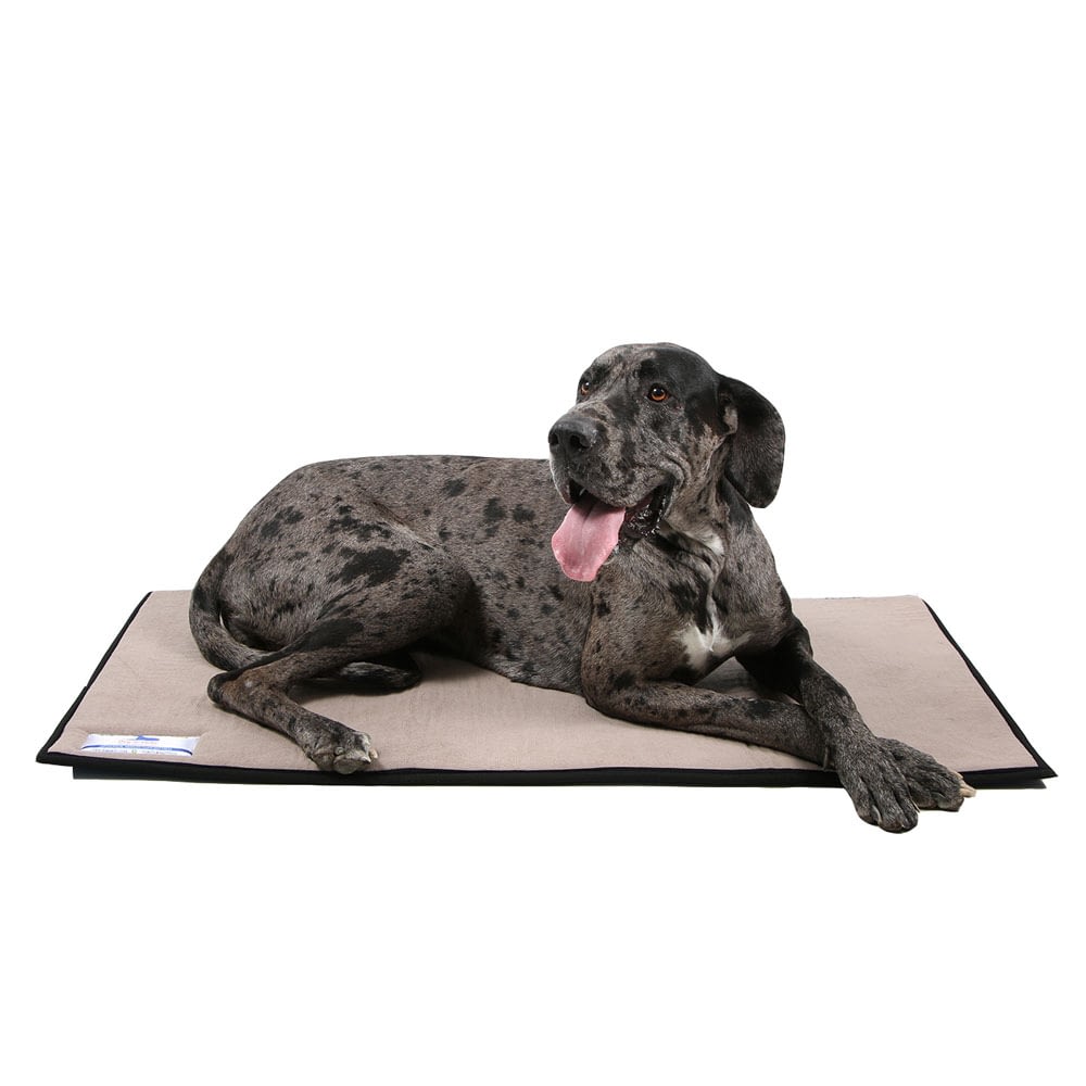 Dog-o-pedic Day Mat Memory Foam - Grey 