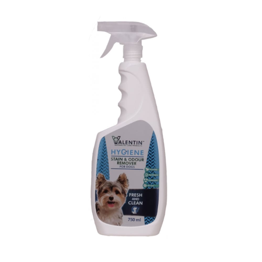 dog odour remover