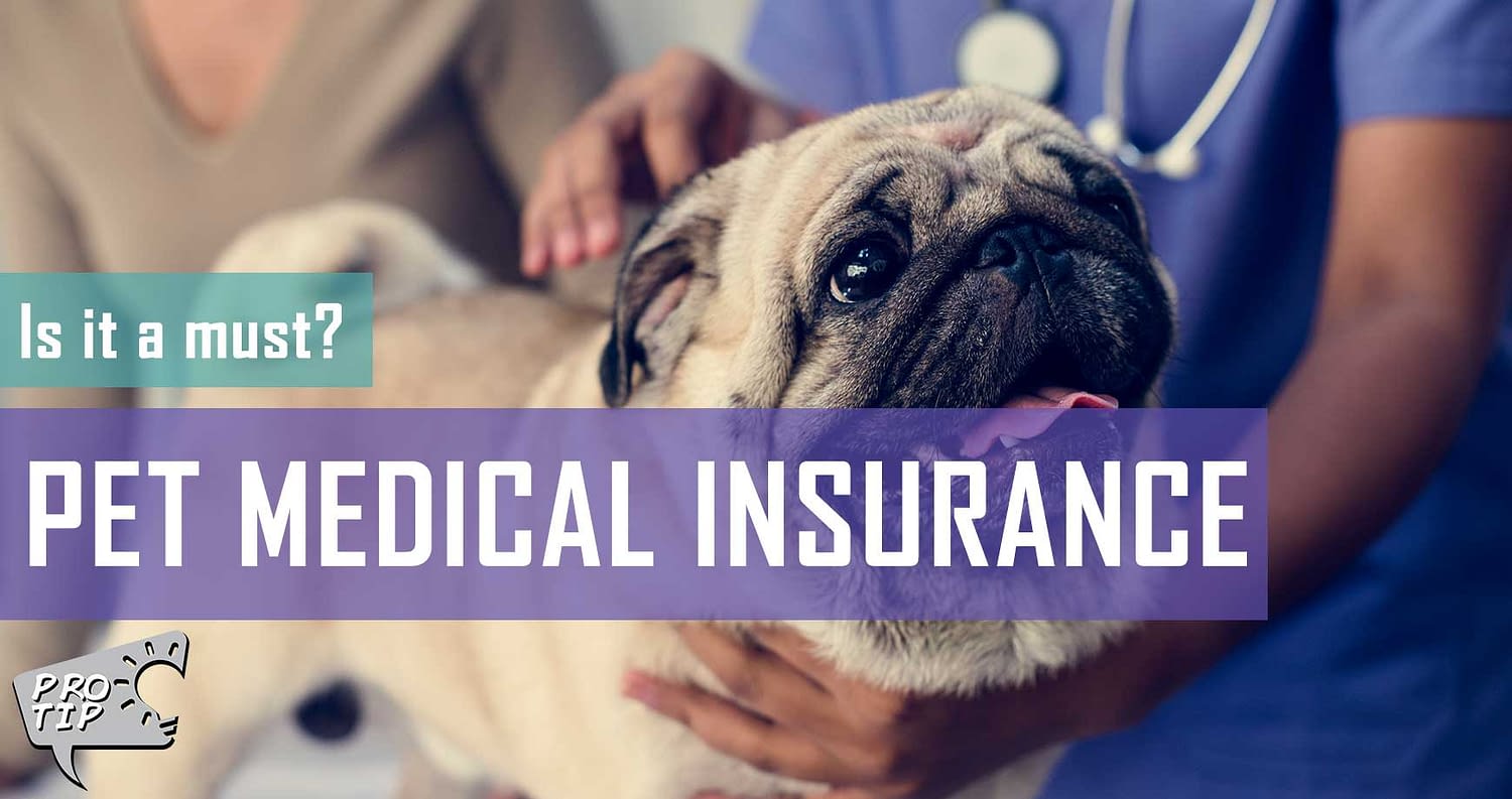 Pet Medical Insurance Pet Hero