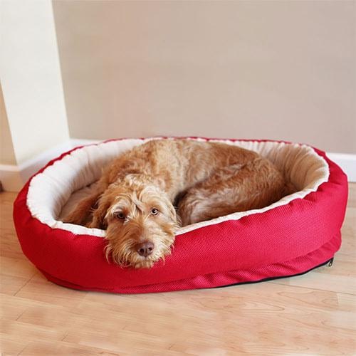 Rosewood Red Orthopaedic Bed