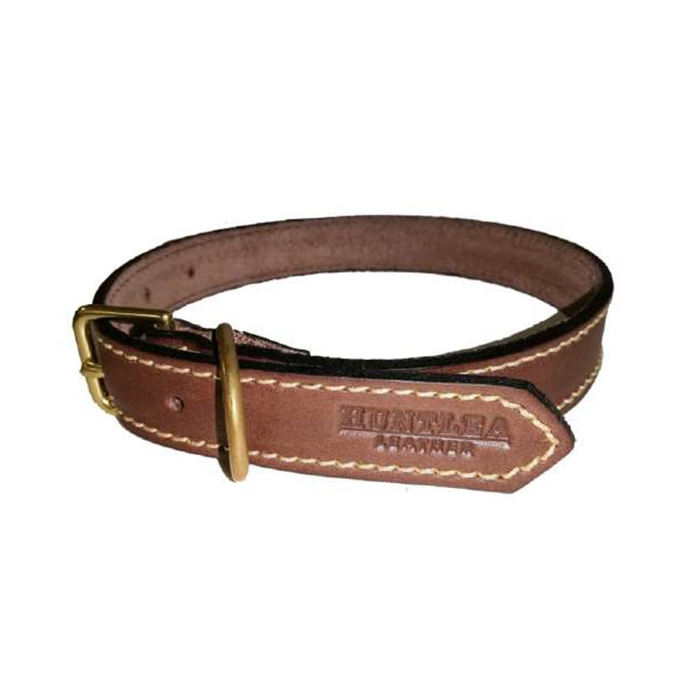 Huntlea Leather Lion Collars for Dogs