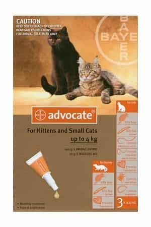 flea treatment for kittens 10 weeks old