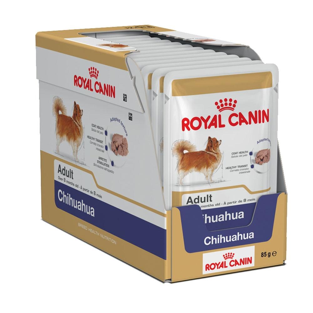 royal canin chihuahua