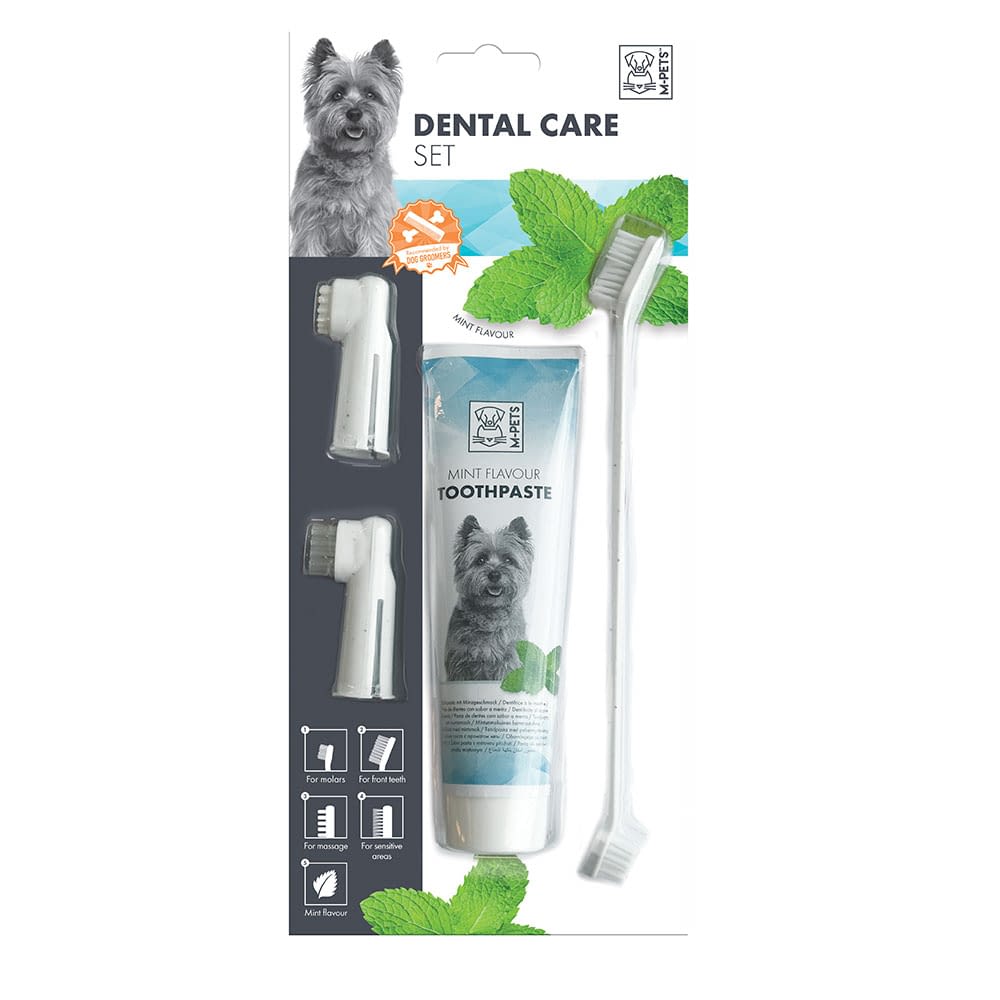 MPets Dental Care Set Mint Flavour