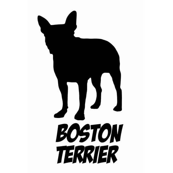 Billabone Boston Terrier