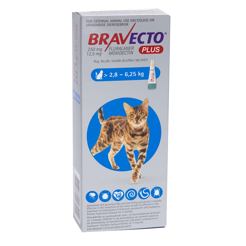 Bravecto Plus Spoton for Cats