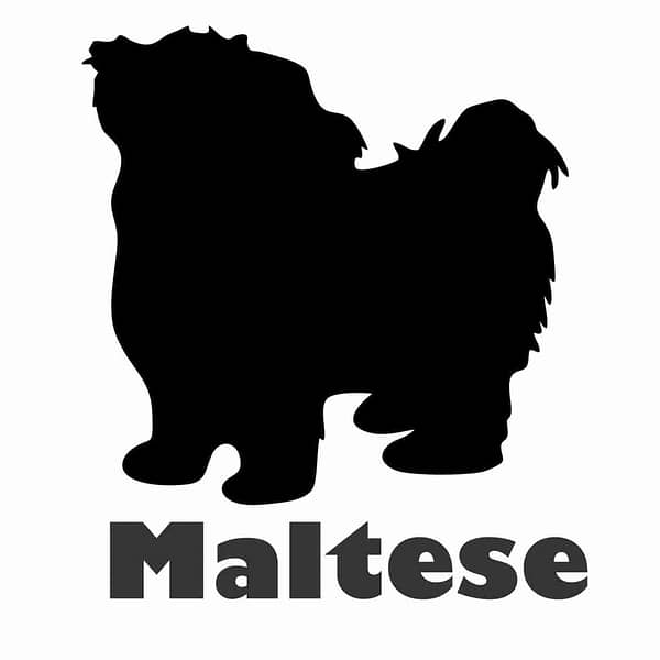 Billabone Maltese
