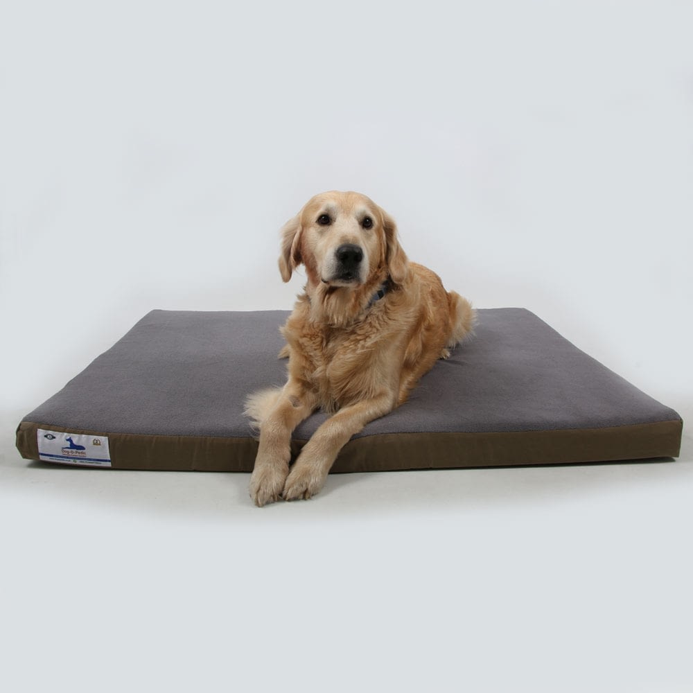 dog memory foam bed