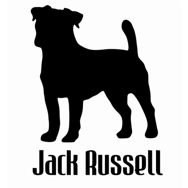 Biilabone Jack Russell