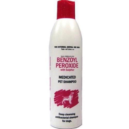benzoyl peroxide shampoo for mange