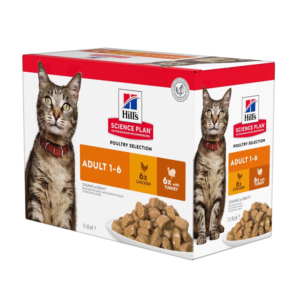 hills adult cat food