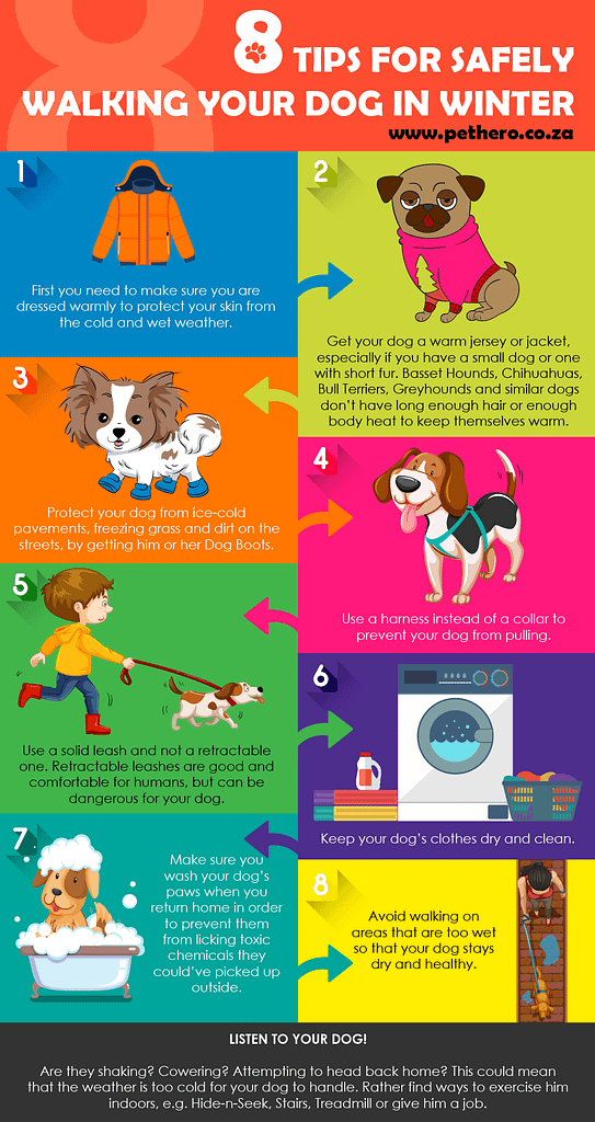 8 Tips For Safely Walking Your Dog In Winter Pet Hero