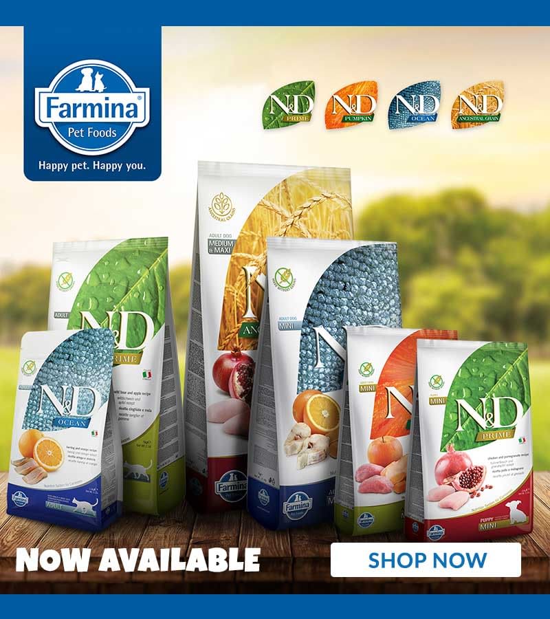 Up to 20 off your first order of dog food and cat food Pet Hero