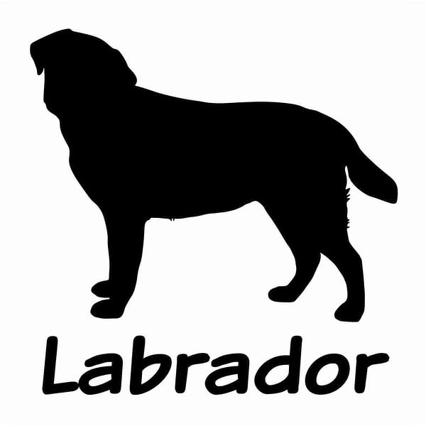 Billabone Labrador