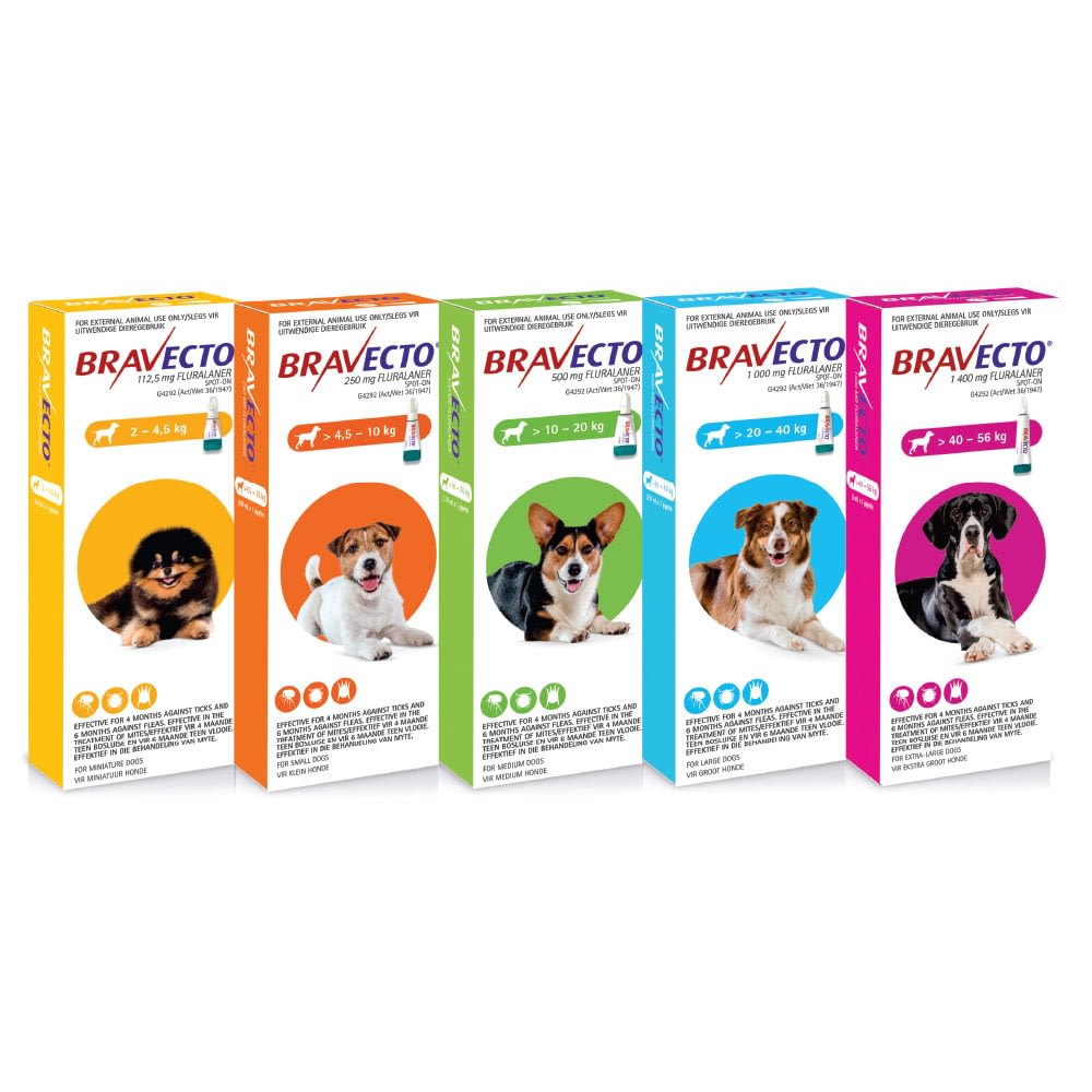 51 HQ Images Bravecto For Dogs Puppies / Bravecto Xs Chews For Dogs 4 4