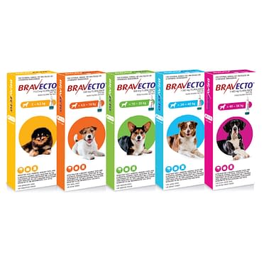 bravecto for dogs coupon