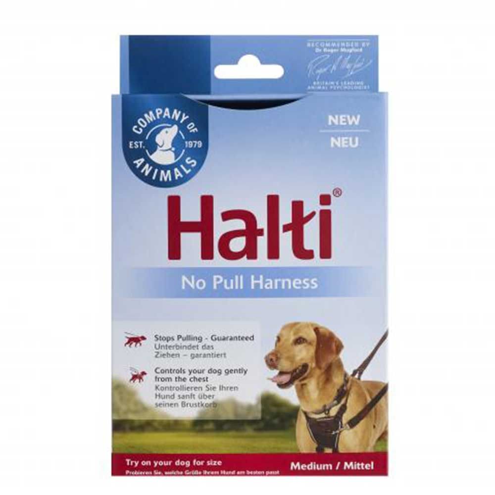 pet valu no pull harness