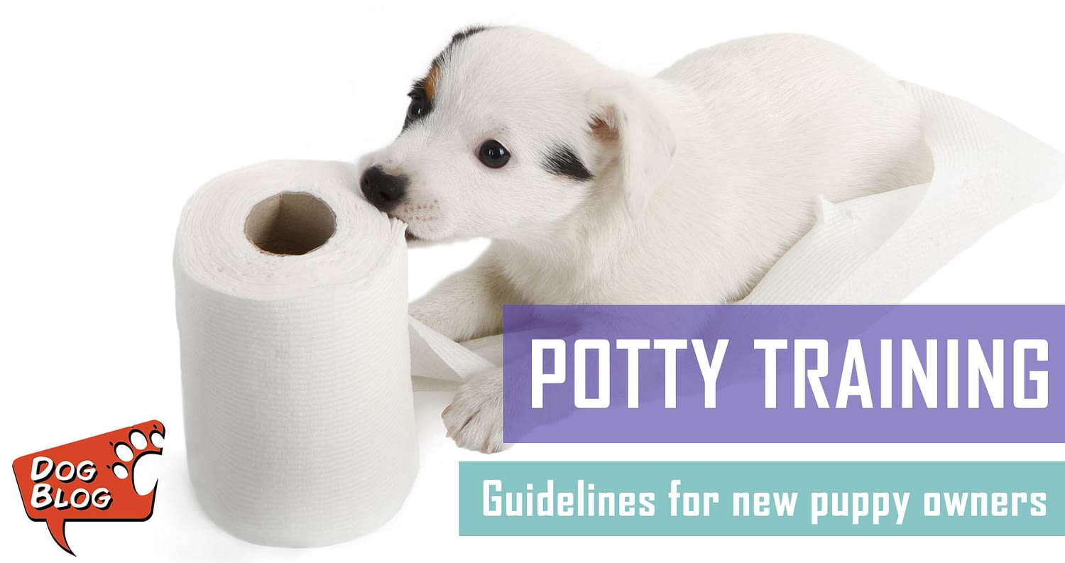 How To Potty Train Your Puppy - Pet Hero