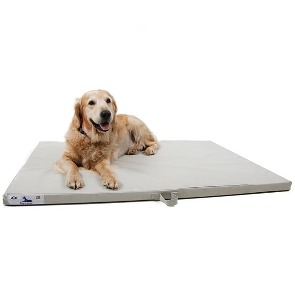 Sealy Lux Mattress Dog Bed