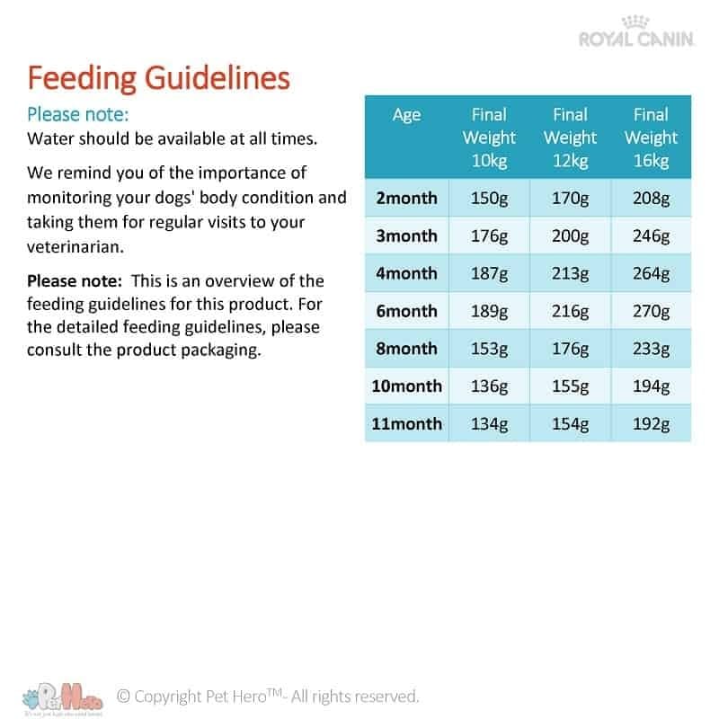 royal canin junior cocker