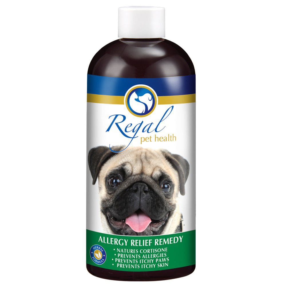 dog skin allergy medicine