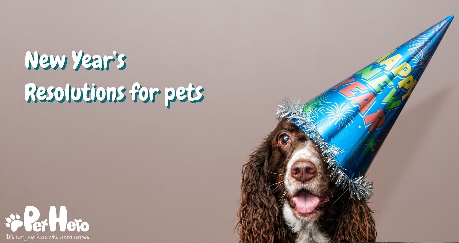New Year’s Resolutions for pets