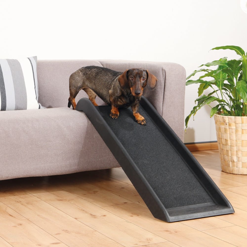 doggy ramps small dogs