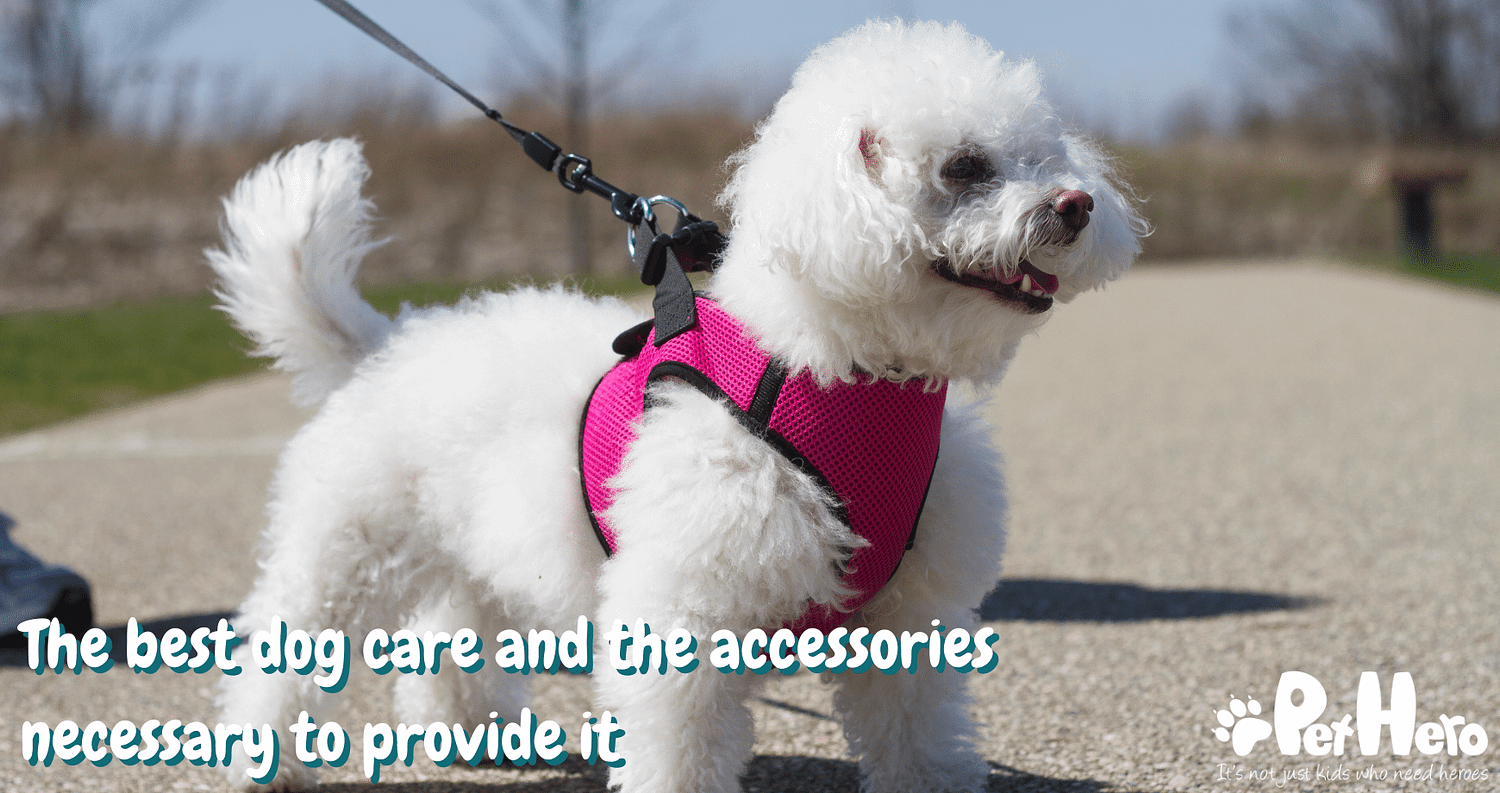 The best dog care and the accessories necessary to provide it