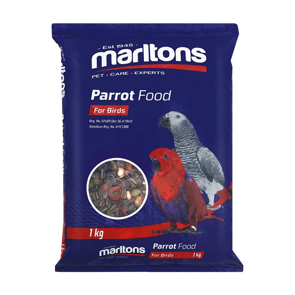 macaw bird food