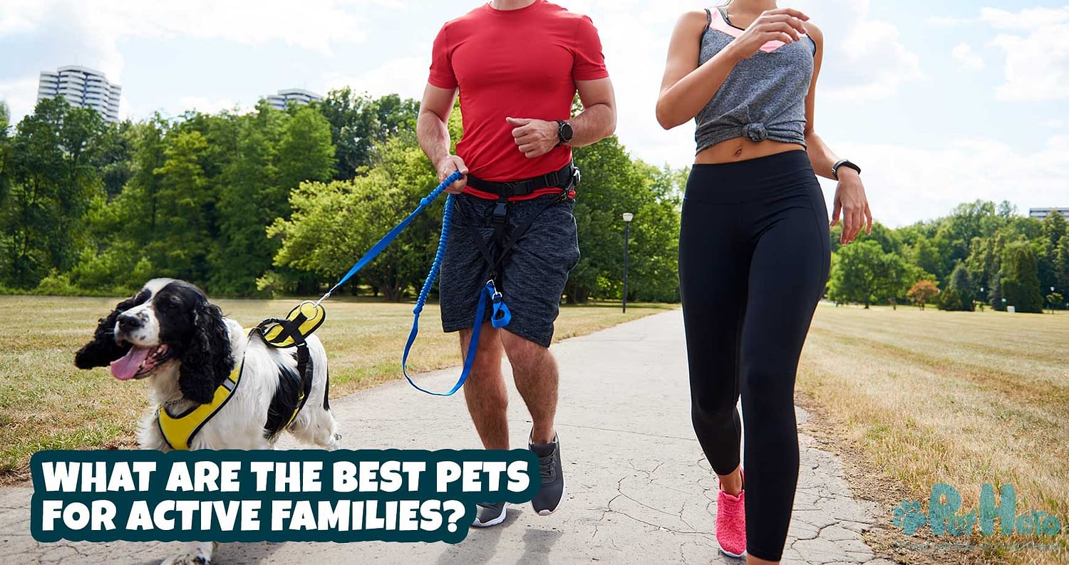 What are the best pets for active families?