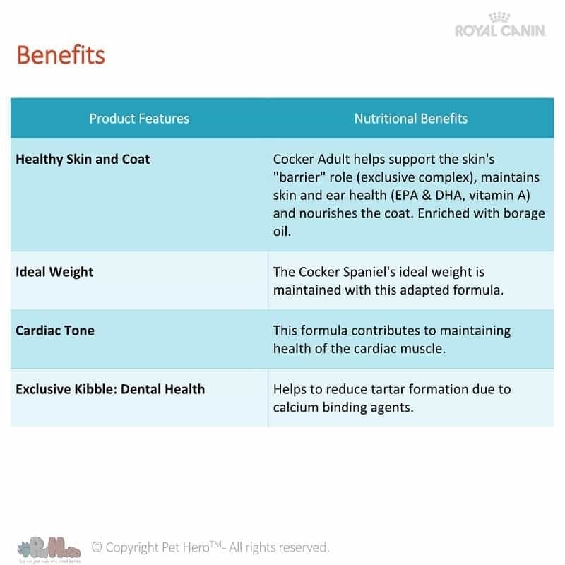 royal canin junior cocker