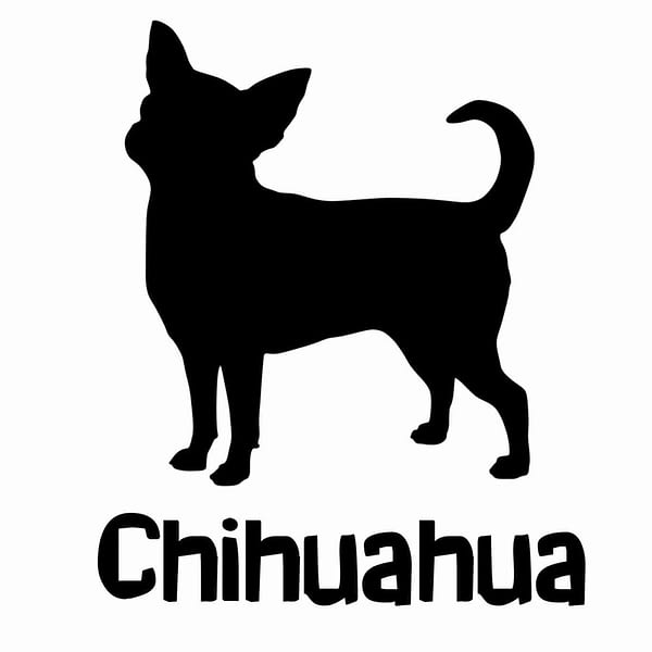 Billabone Chihuahua