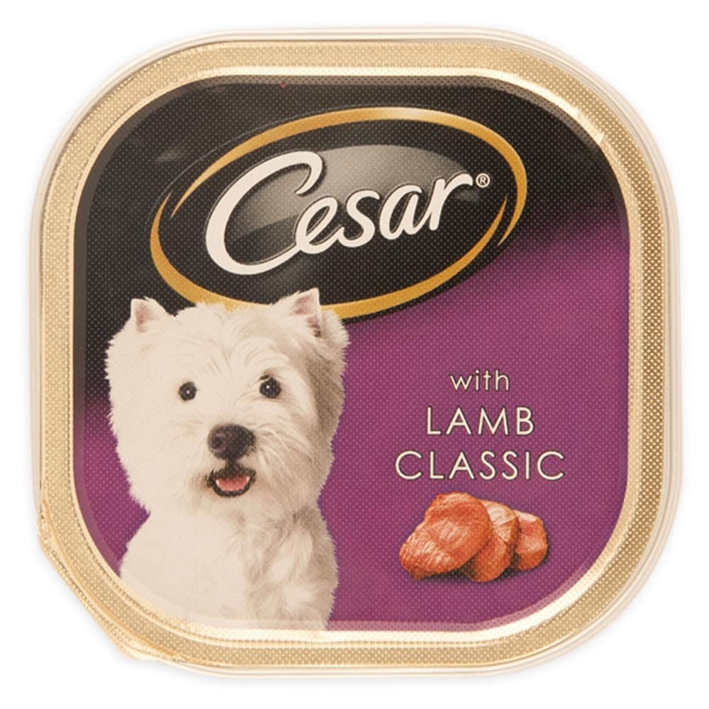 Cesar Lamb Classic Wet/Soft Dog Food Can