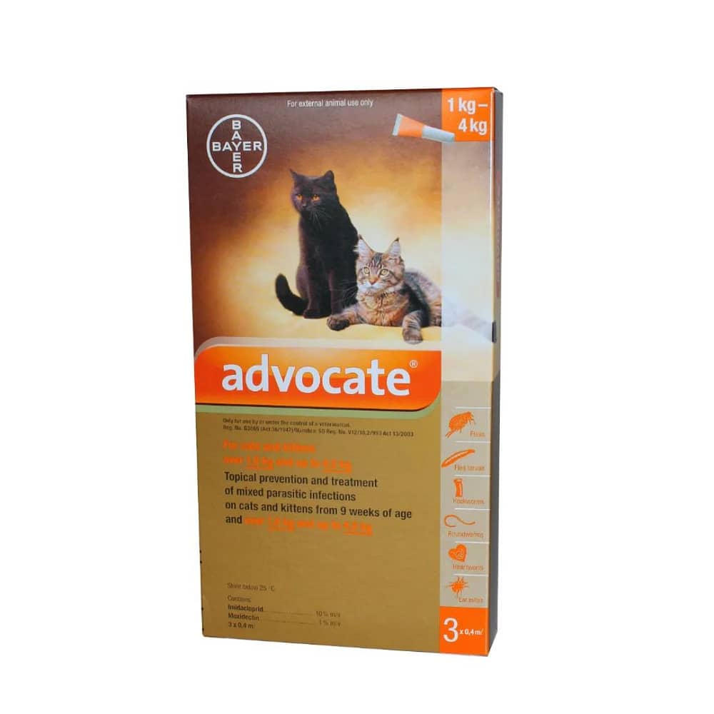 Advocate For Cats | Pet Hero