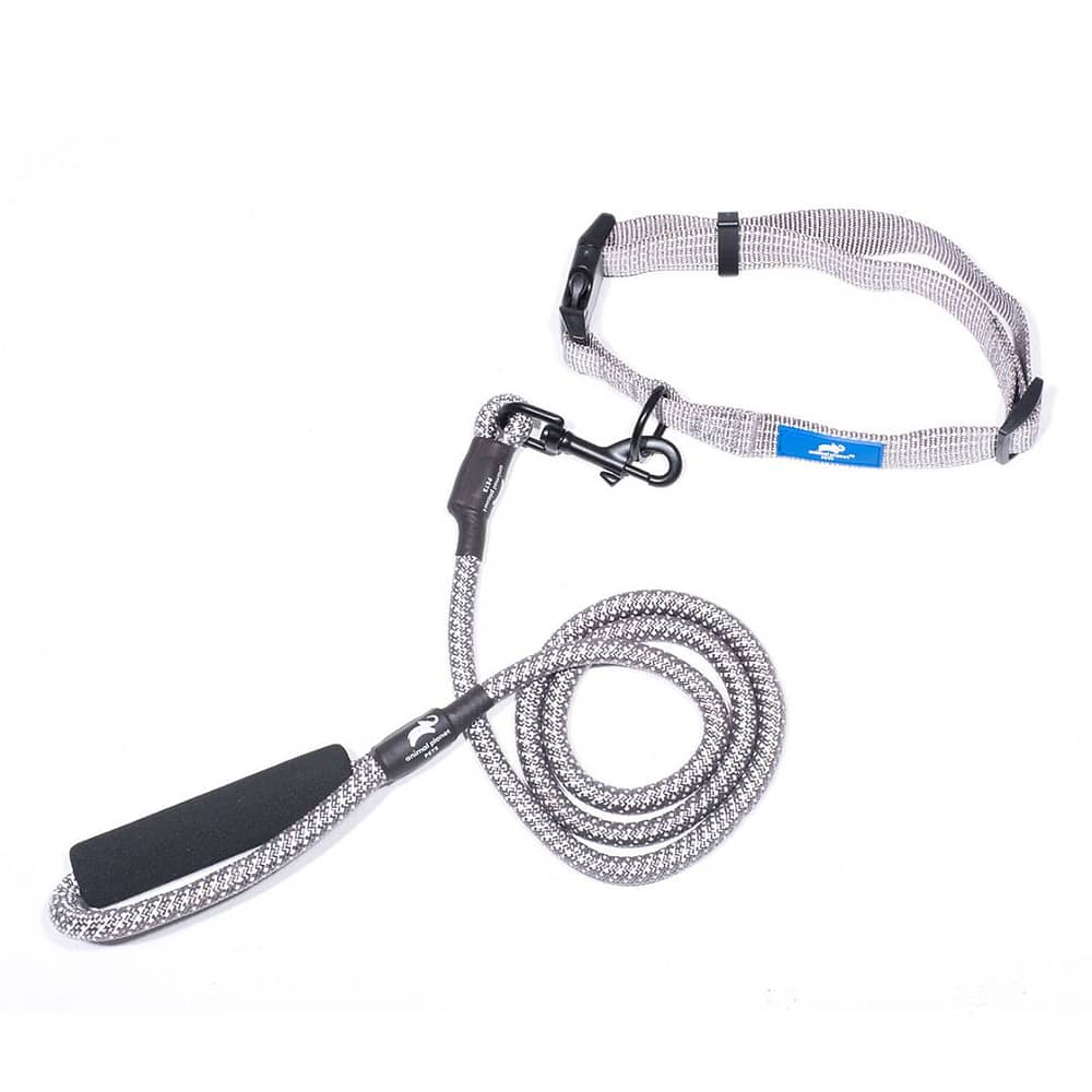 Animal Planet Collar and Rope Lead Bundle - Grey