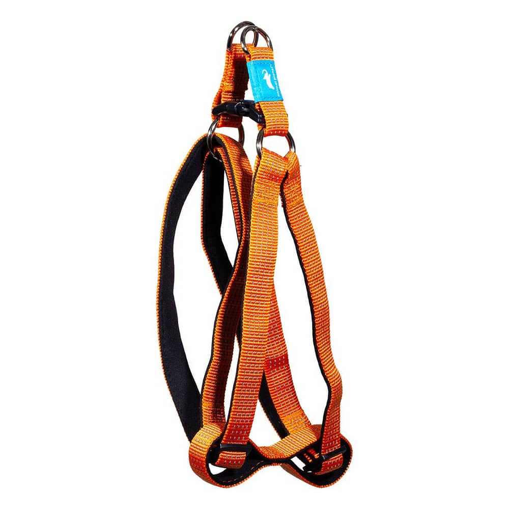 Animal planet shop dog leash