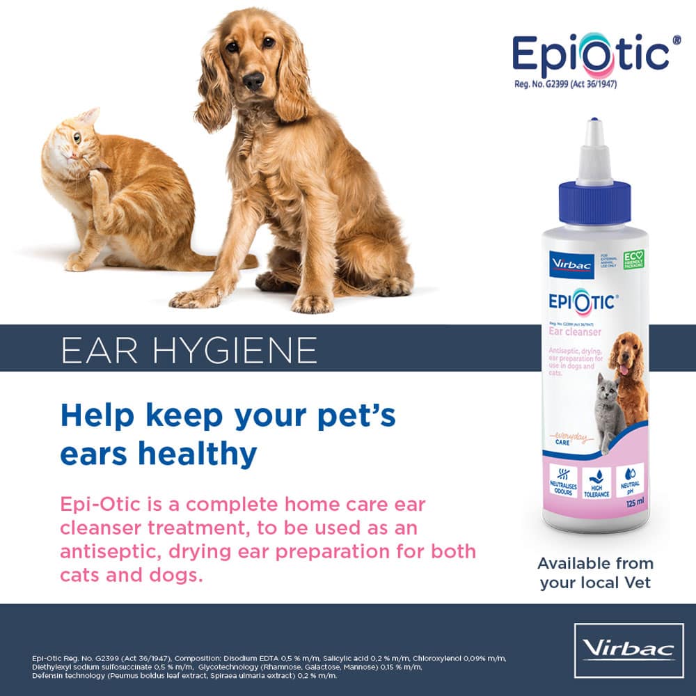 Ear Cleanser Home Dog Ear Cleaning Solution Johnsons Ear Drops For