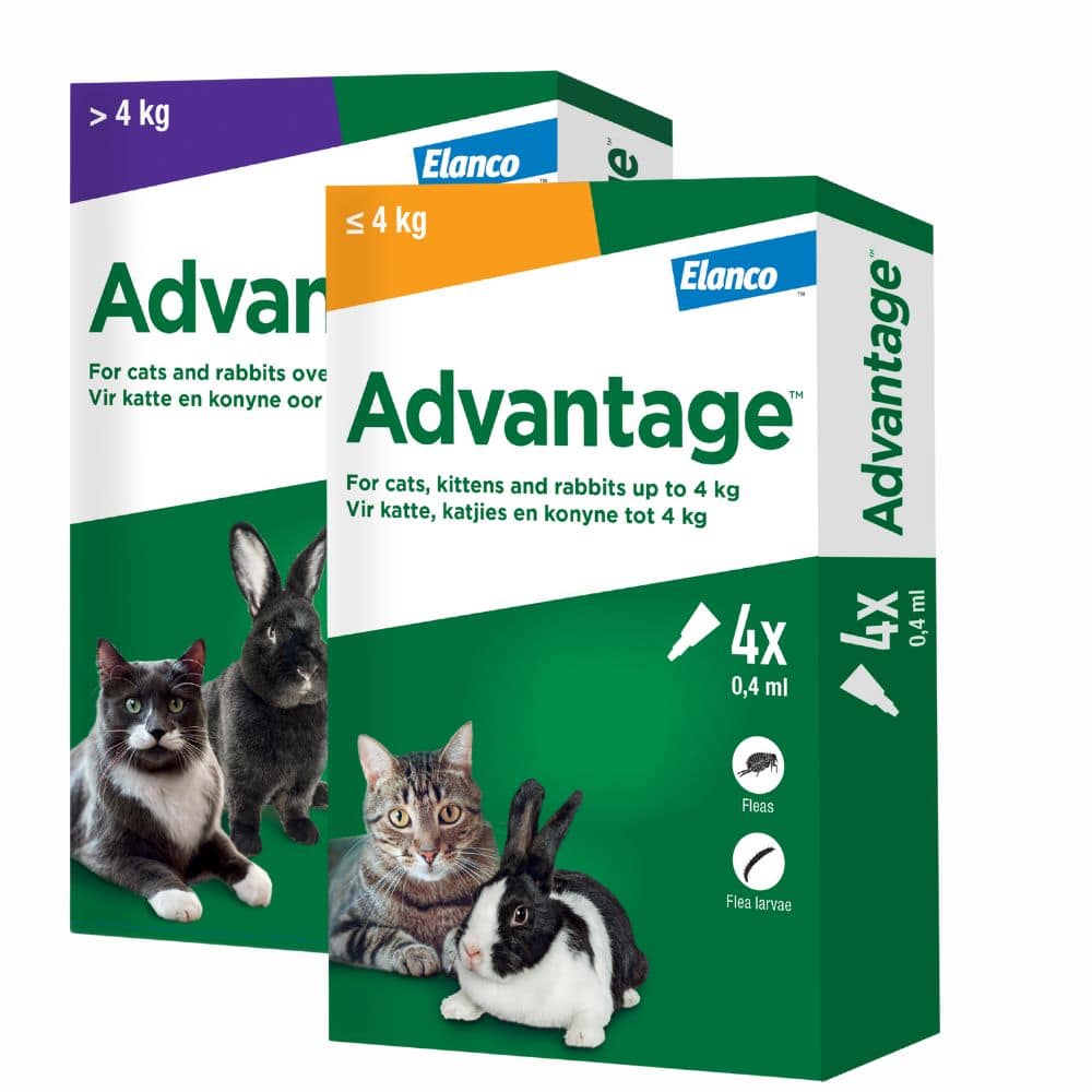 Advantage for Cats Fast-acting Flea Treatment Online Pet Hero