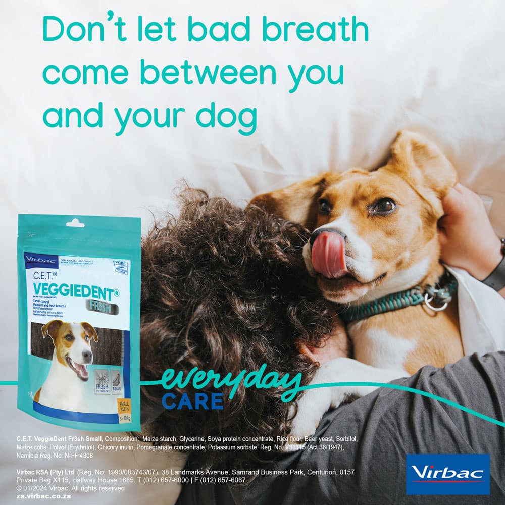Virbac Cet Veggiedent Fresh Veggie Dents For Dogs Virbac