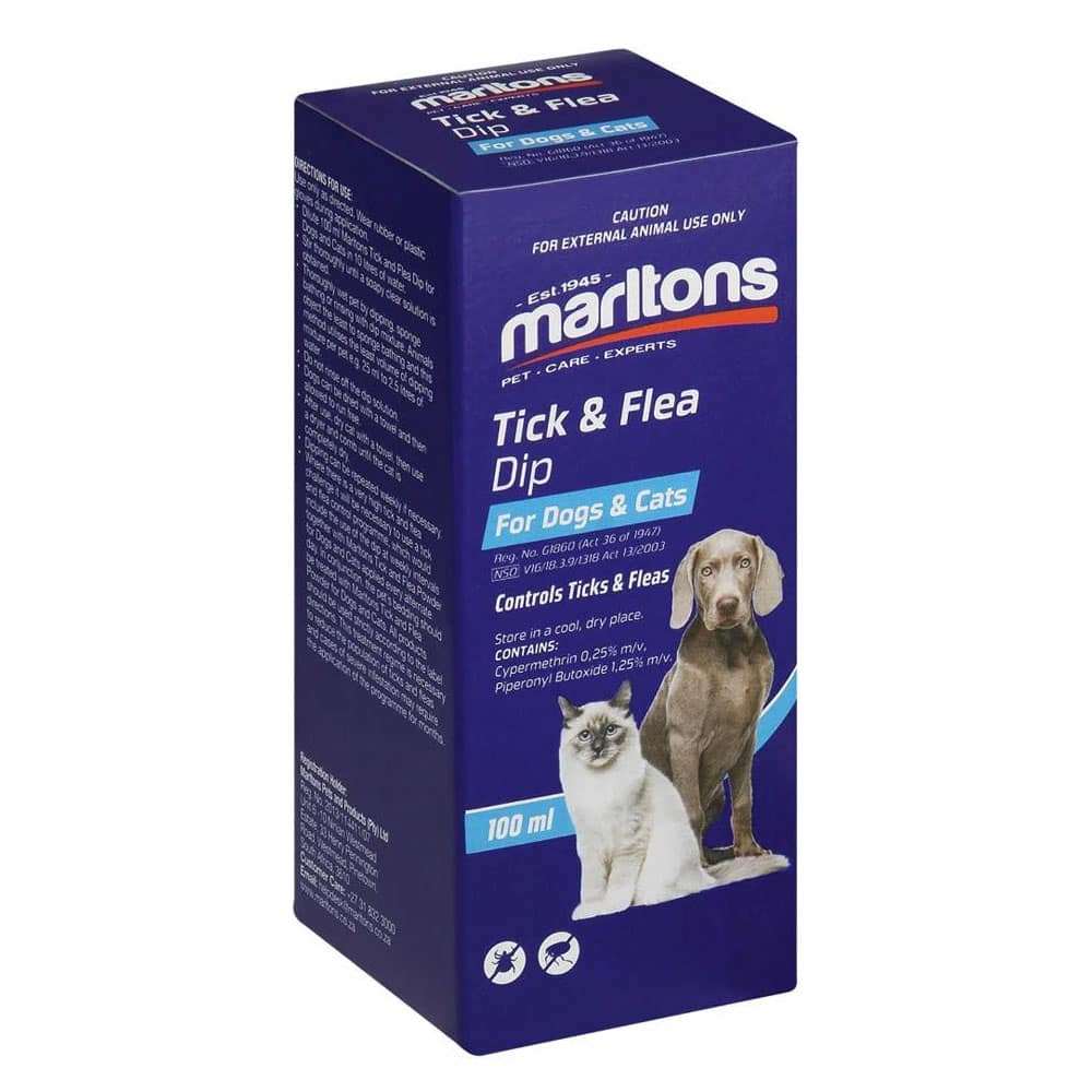 Illustration of Flea And Tick Dip For Small Breed Dogs In Winter
