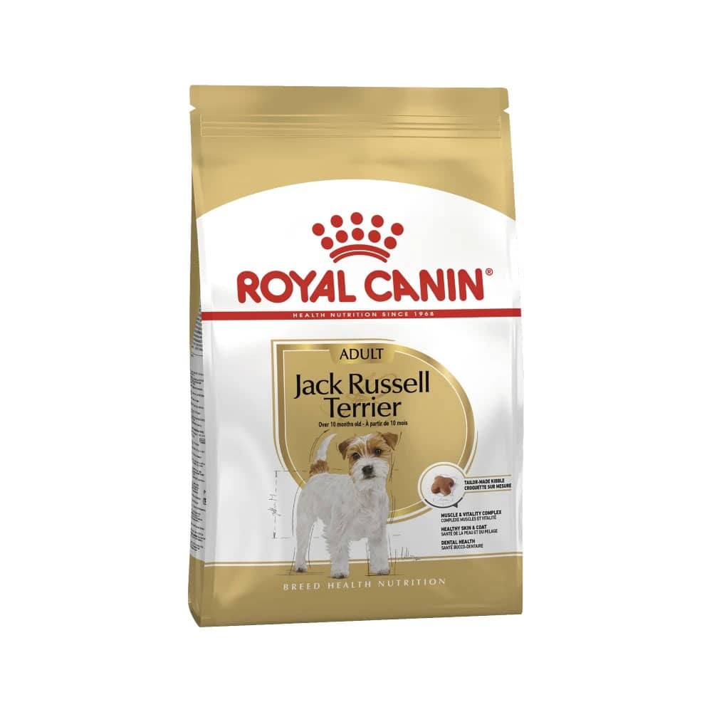 royal canin jack russell senior