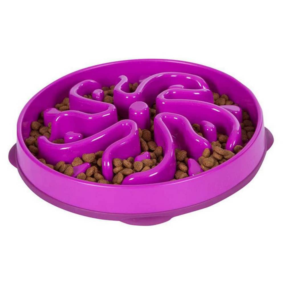 fun feeder for dogs