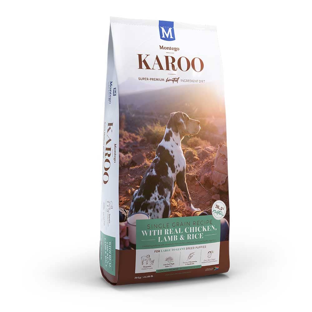 large breed puppy food with grain