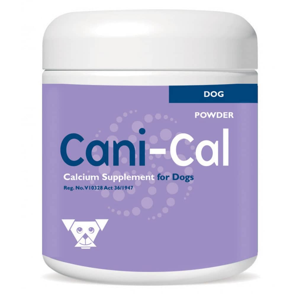 should i give calcium to my pregnant dog