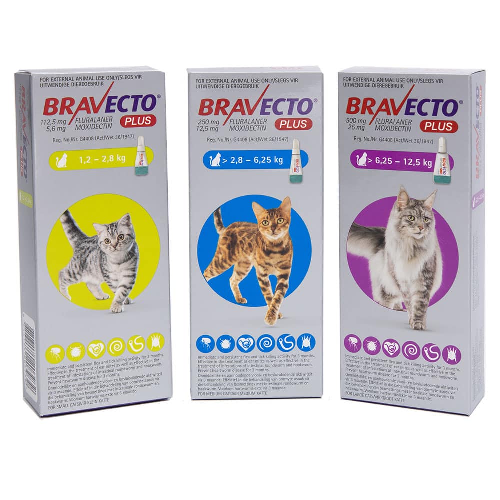 Bravecto Plus Spoton For Cats Pet Hero