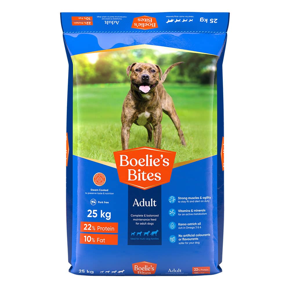 bully bites dog food